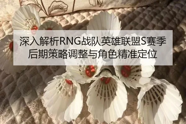 深入解析RNG战队英雄联盟S赛季后期策略调整与角色精准定位 | RAY ESPORTS